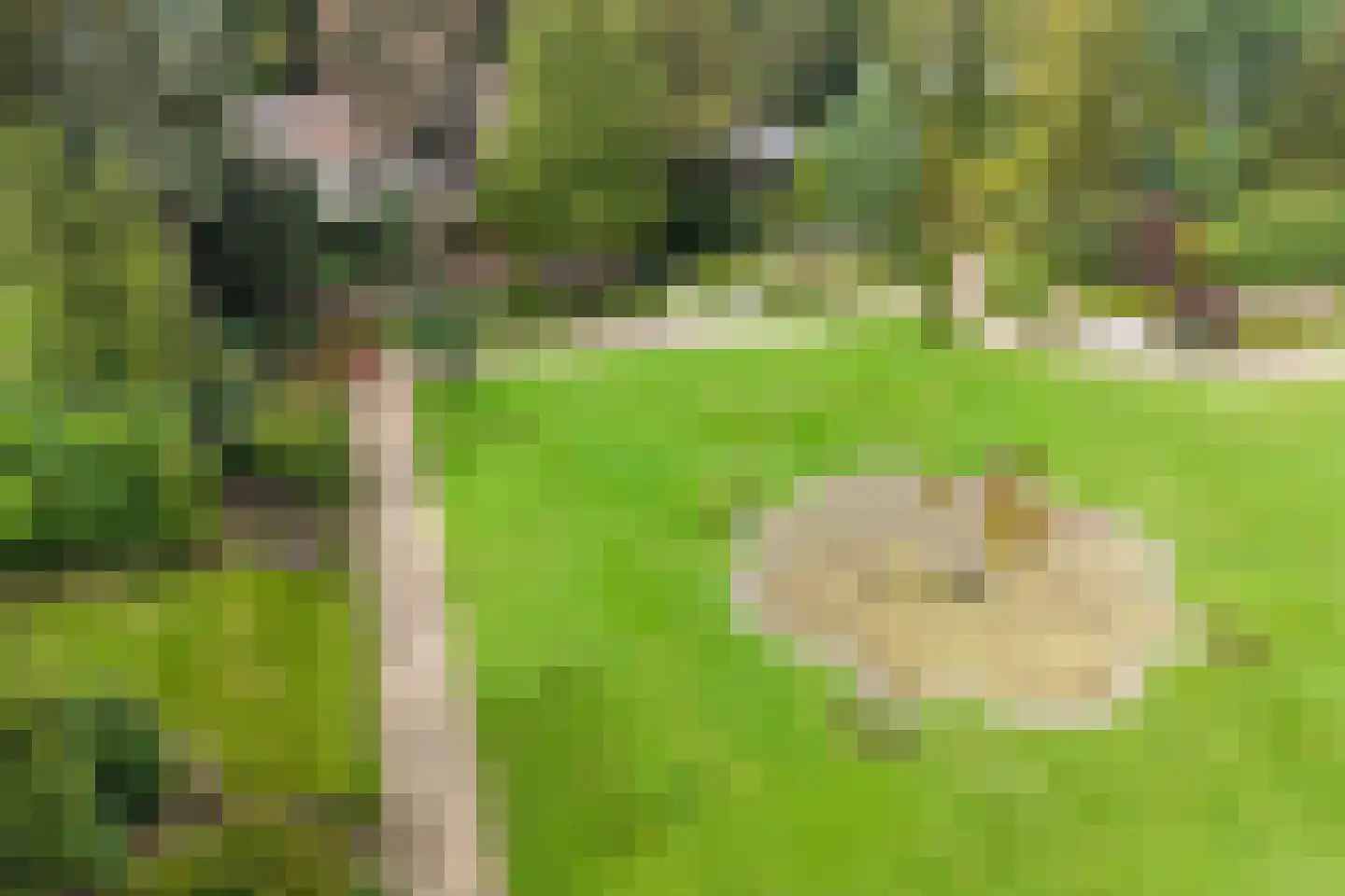 Lindenlaan 1 Zeist thumbnail 62