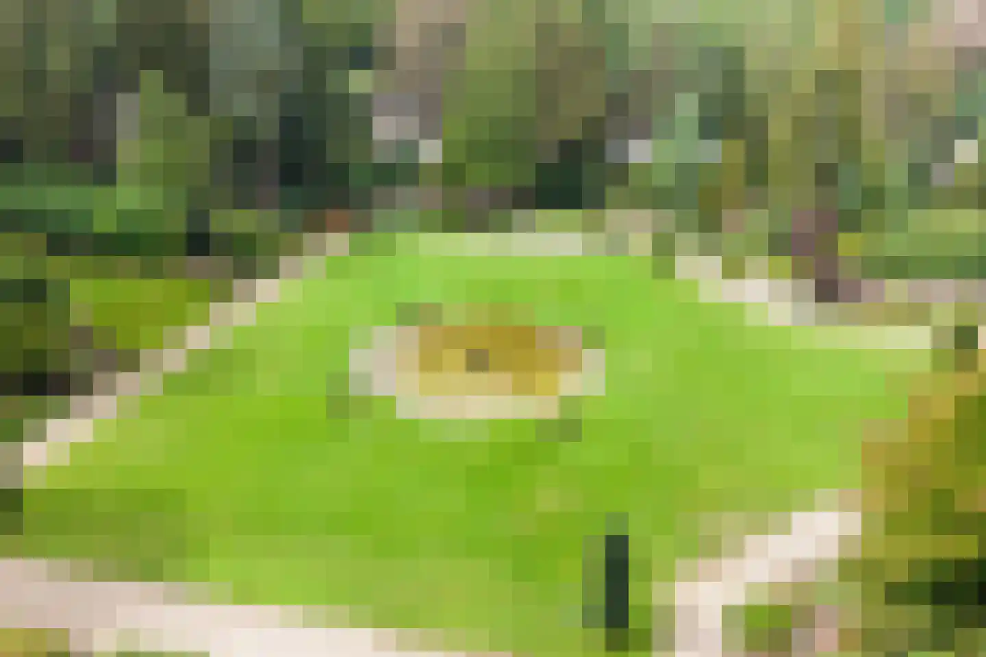 Lindenlaan 1 Zeist thumbnail 63