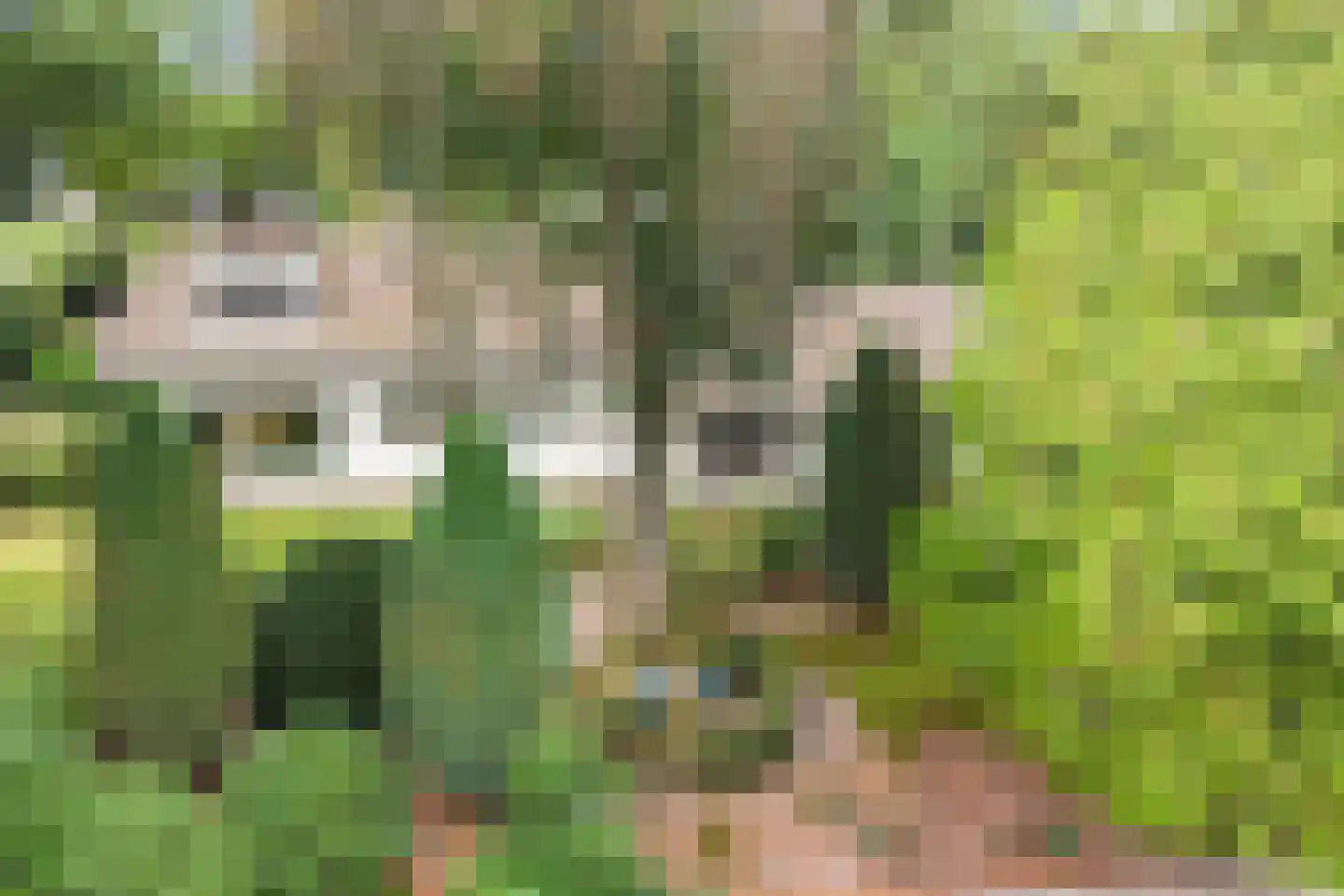 Lindenlaan 1 Zeist thumbnail 64
