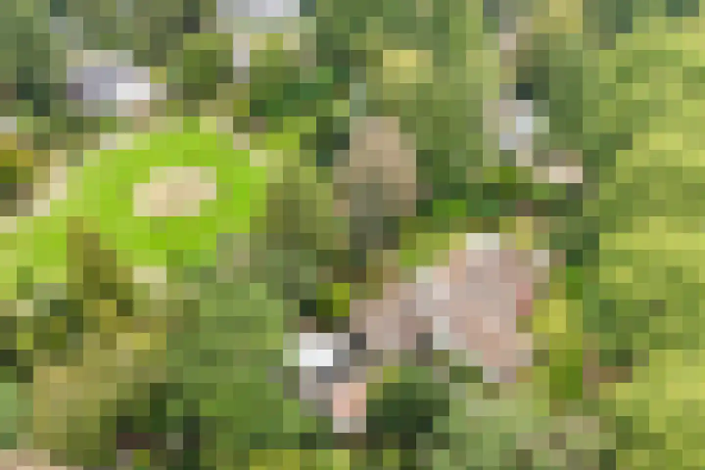 Lindenlaan 1 Zeist thumbnail 65