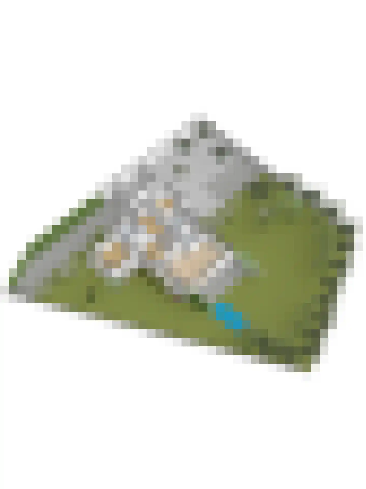 Lindenlaan 1 Zeist thumbnail 67