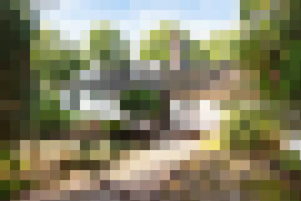 Lindenlaan 1 Zeist thumbnail 8