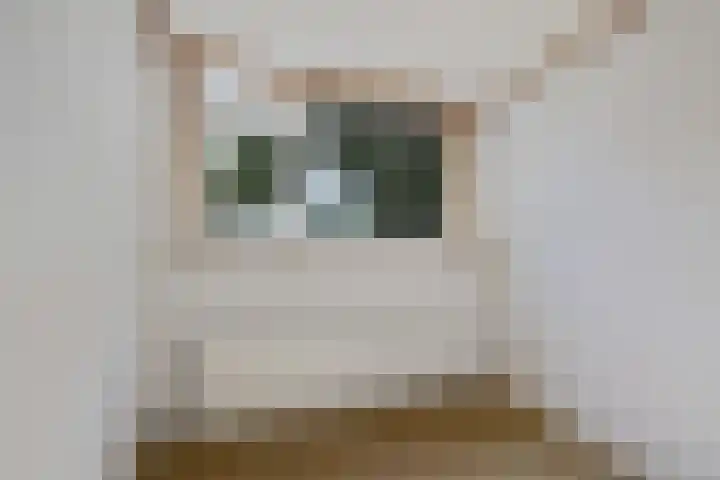 Lindenlaan 10 Emmer-Compascuum thumbnail 11