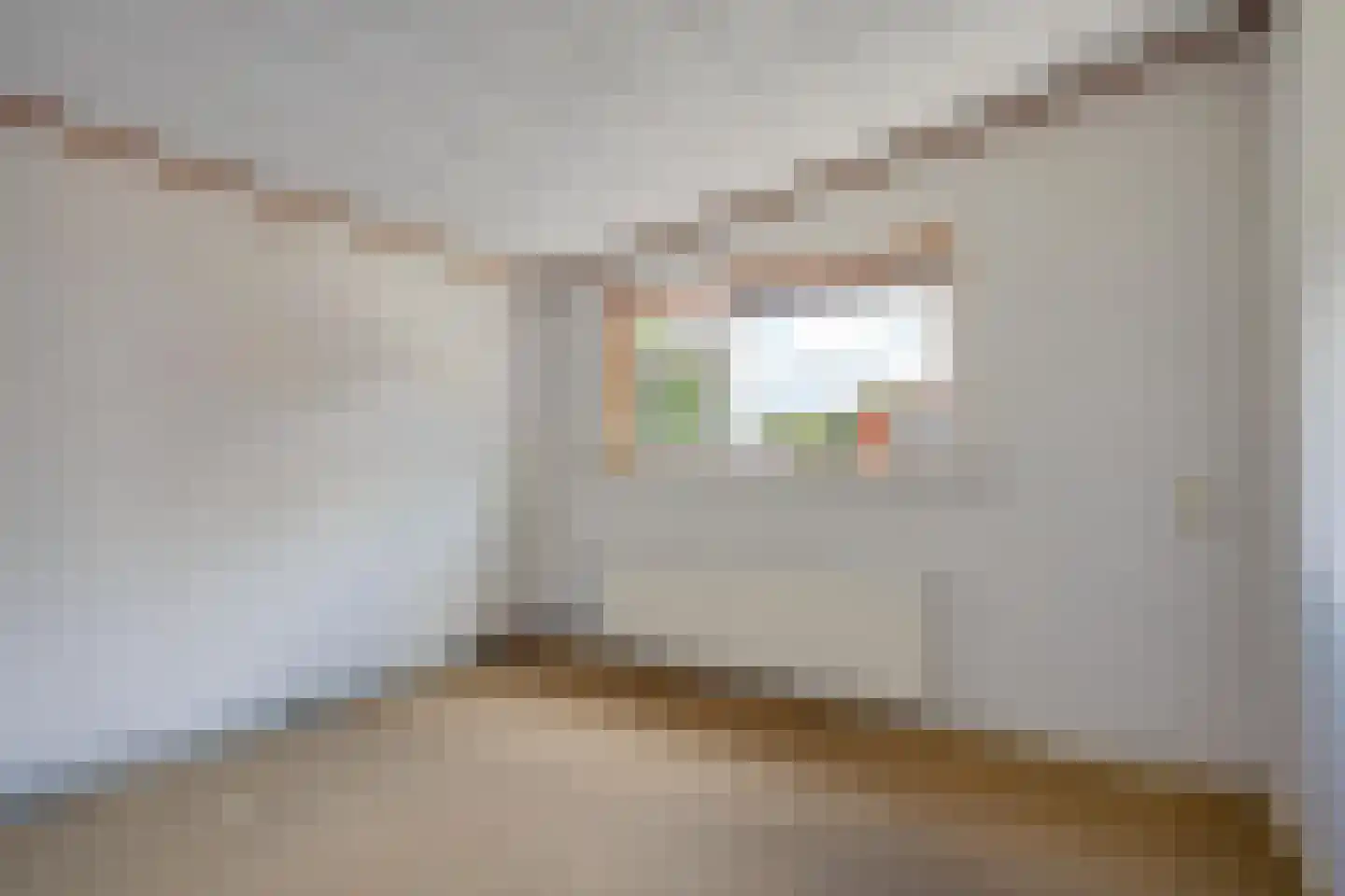 Lindenlaan 10 Emmer-Compascuum thumbnail 14