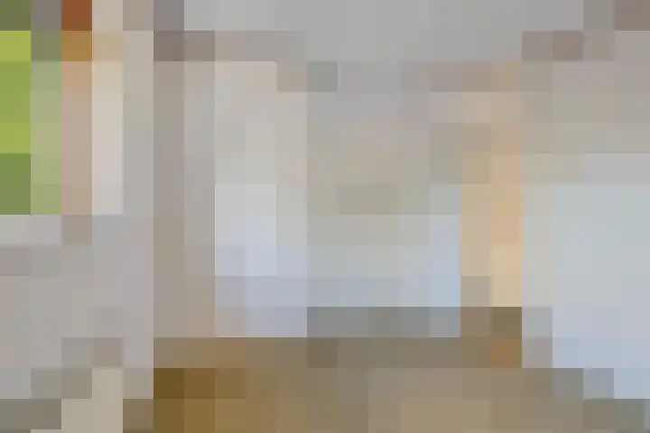 Lindenlaan 10 Emmer-Compascuum thumbnail 16