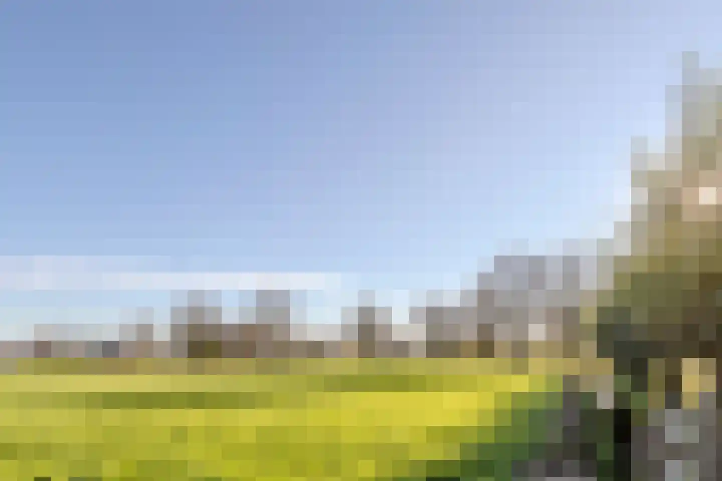 Lindenlaan 10 Emmer-Compascuum thumbnail 17