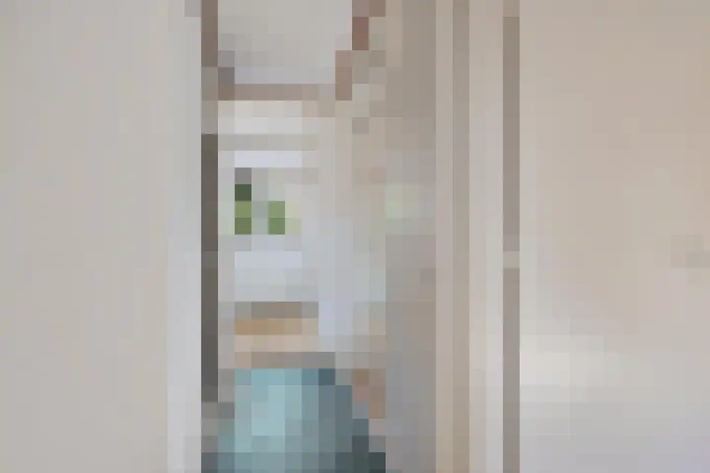 Lindenlaan 10 Emmer-Compascuum thumbnail 18