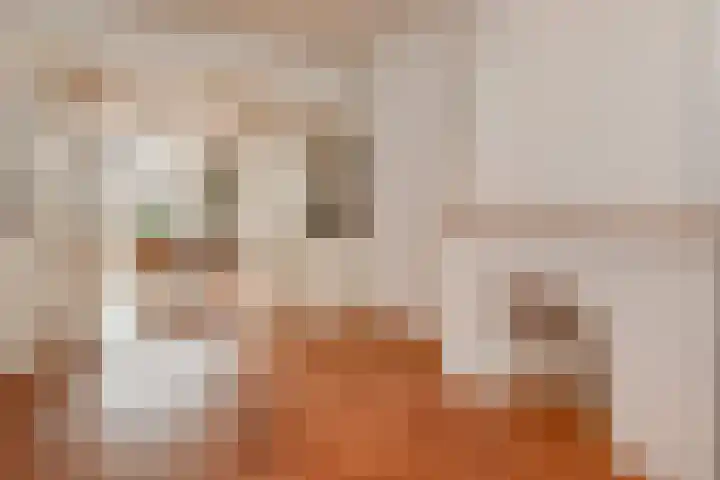 Lindenlaan 10 Emmer-Compascuum thumbnail 20