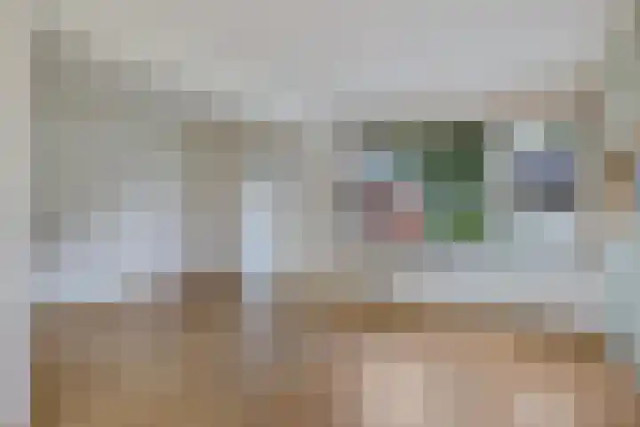 Lindenlaan 10 Emmer-Compascuum thumbnail 8