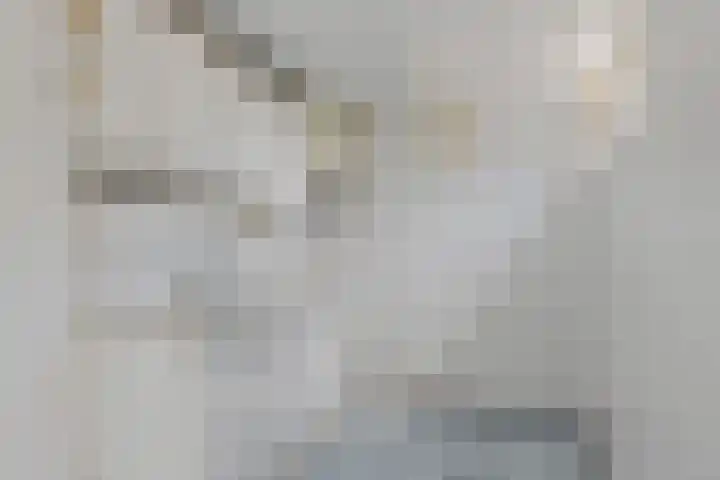 Lindenlaan 10 Emmer-Compascuum thumbnail 9