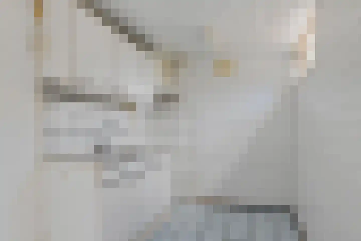 Lindenlaan 10 Emmer-Compascuum thumbnail 9