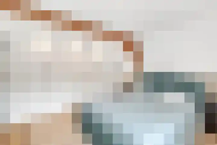 Lindenlaan 100 Huizen thumbnail 10
