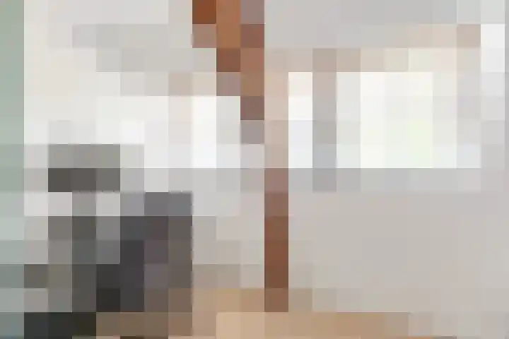 Lindenlaan 100 Huizen thumbnail 16