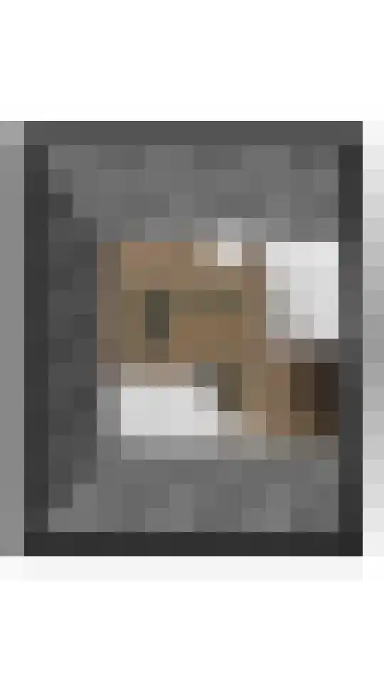 Lindenlaan 100 Huizen thumbnail 20