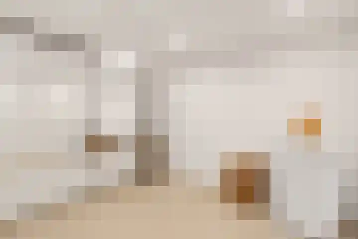 Lindenlaan 100 Huizen thumbnail 21