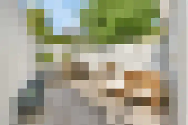 Lindenlaan 100 Huizen thumbnail 25
