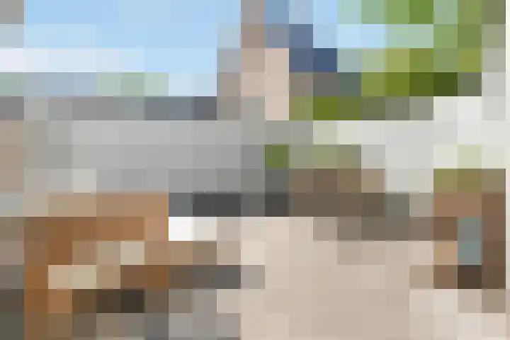 Lindenlaan 100 Huizen thumbnail 26