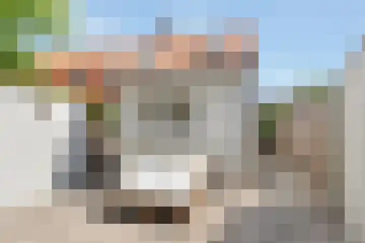 Lindenlaan 100 Huizen thumbnail 27