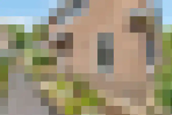 Lindenlaan 100 Huizen thumbnail 28