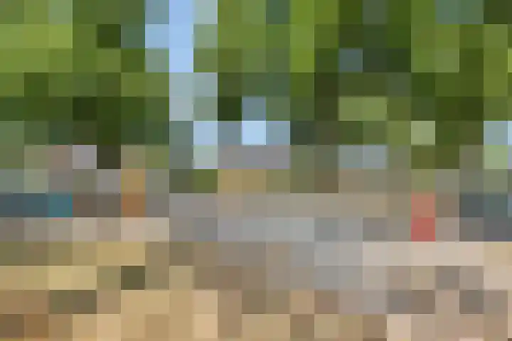 Lindenlaan 100 Huizen thumbnail 29