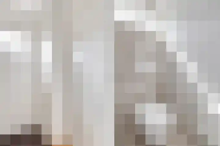 Lindenlaan 100 Huizen thumbnail 7