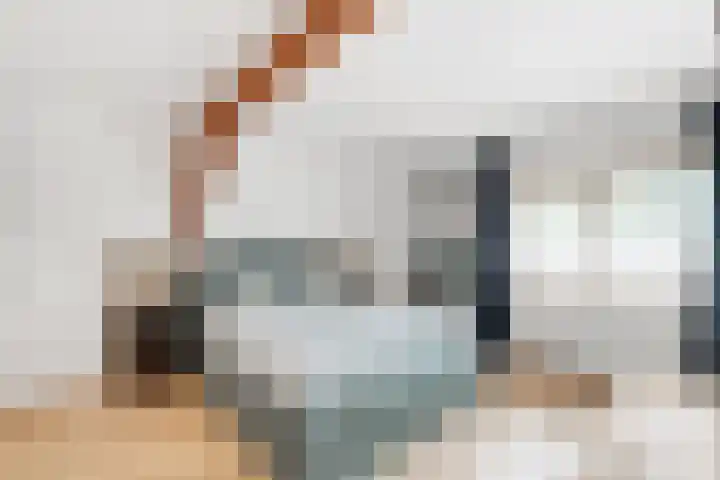 Lindenlaan 100 Huizen thumbnail 9