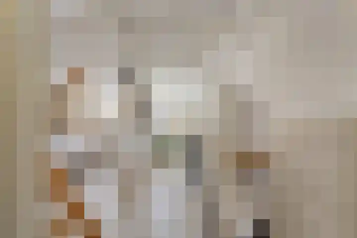 Lindenlaan 103 Alkmaar thumbnail 15