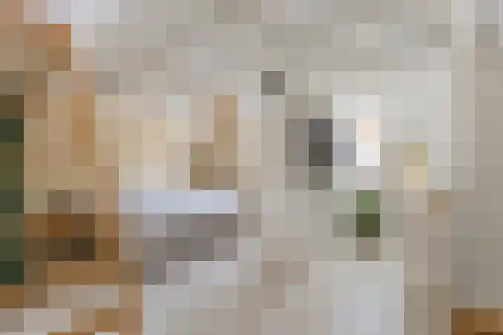 Lindenlaan 103 Alkmaar thumbnail 16
