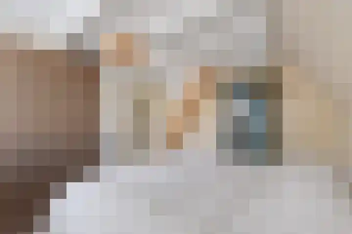 Lindenlaan 103 Alkmaar thumbnail 18