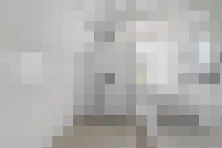 Lindenlaan 103 Alkmaar thumbnail 22