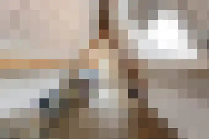 Lindenlaan 103 Alkmaar thumbnail 27