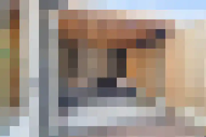 Lindenlaan 103 Alkmaar thumbnail 32