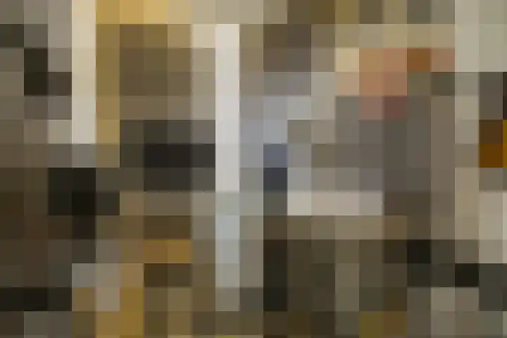 Lindenlaan 103 Alkmaar thumbnail 36