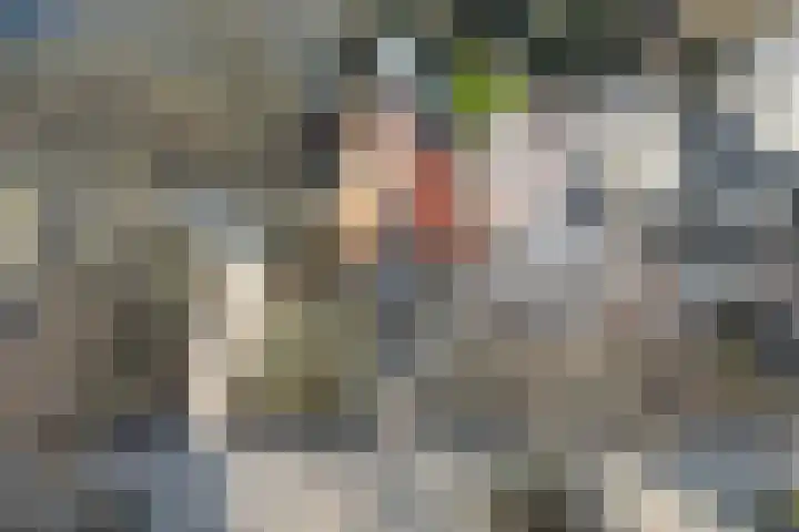 Lindenlaan 103 Alkmaar thumbnail 37