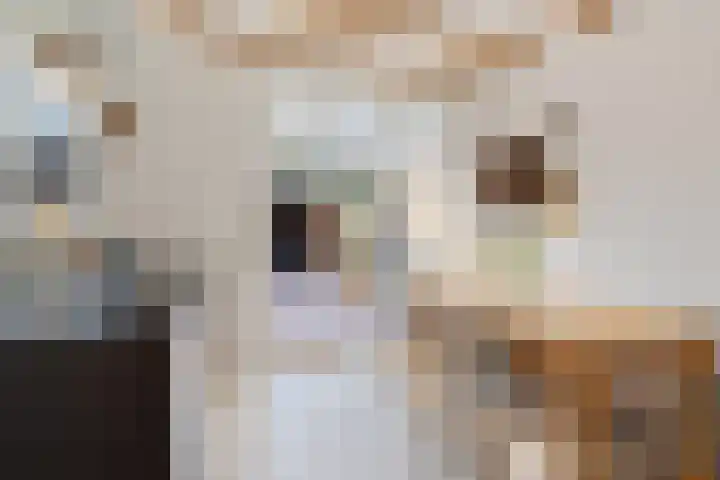 Lindenlaan 103 Alkmaar thumbnail 7