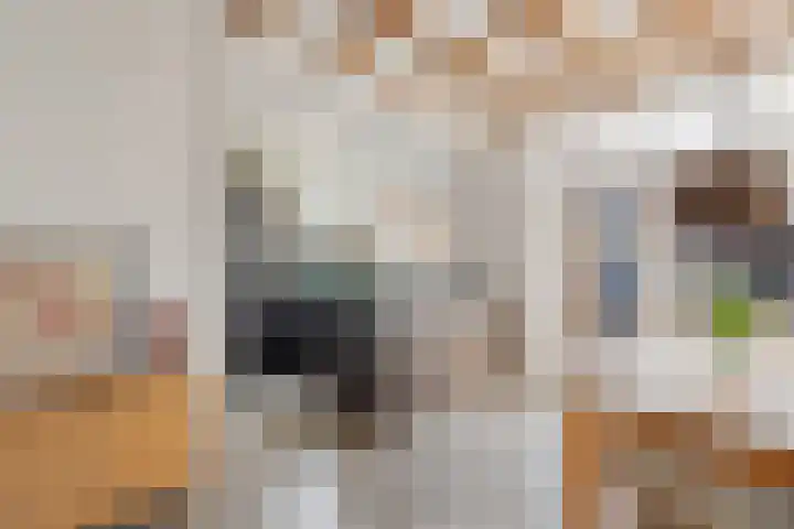 Lindenlaan 103 Alkmaar thumbnail 8