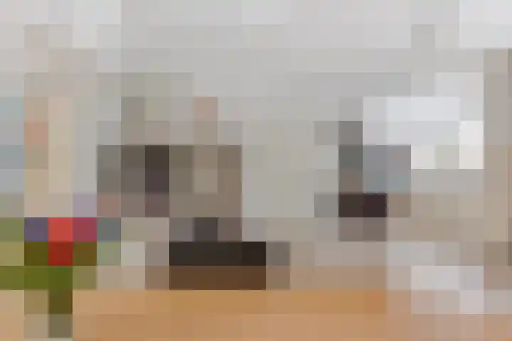 Lindenlaan 105 Castricum thumbnail 14