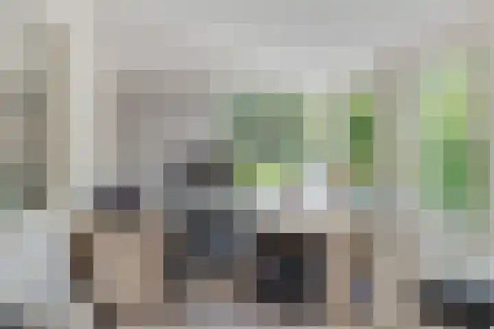 Lindenlaan 105 Castricum thumbnail 17