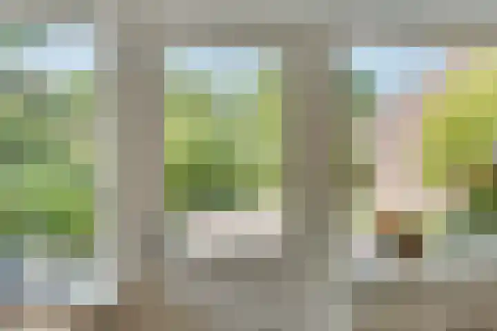 Lindenlaan 105 Castricum thumbnail 18