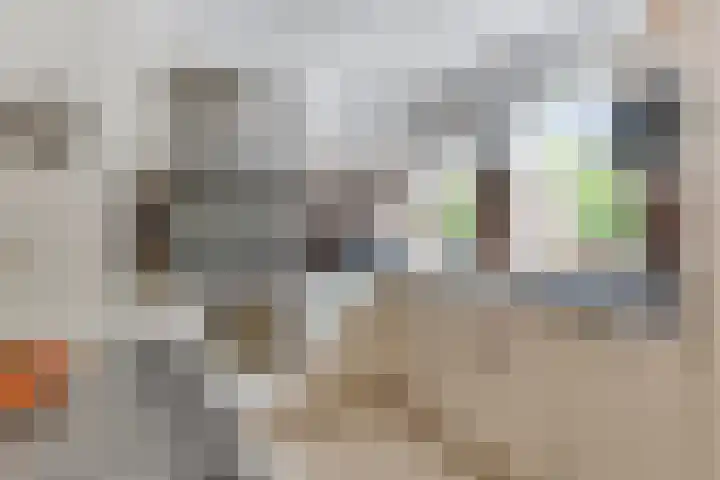 Lindenlaan 105 Castricum thumbnail 21