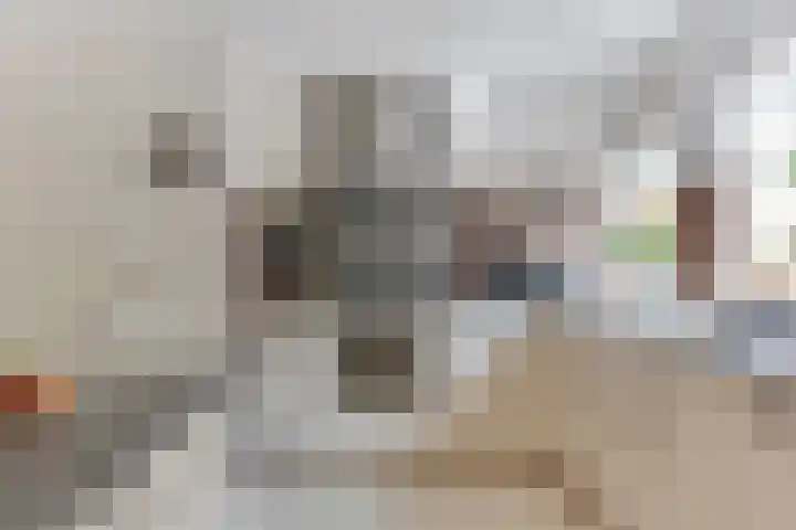 Lindenlaan 105 Castricum thumbnail 22