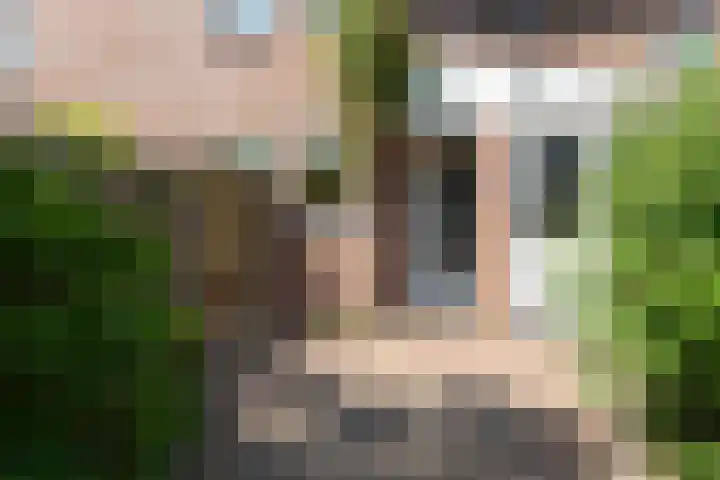 Lindenlaan 105 Castricum thumbnail 4