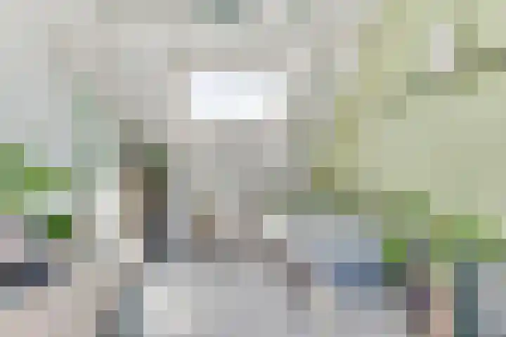 Lindenlaan 105 Castricum thumbnail 40