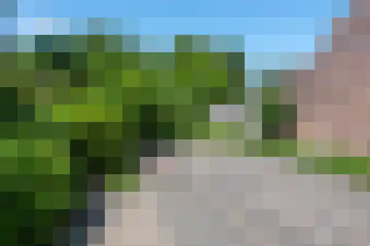 Lindenlaan 105 Castricum thumbnail 43