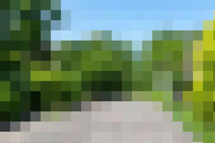 Lindenlaan 105 Castricum thumbnail 44