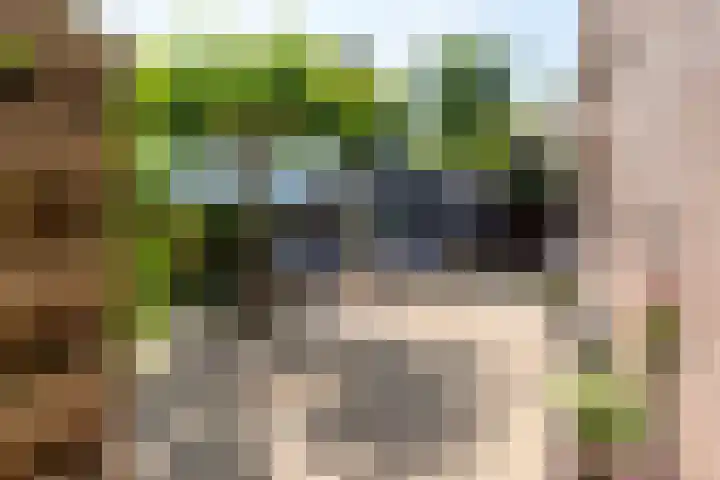 Lindenlaan 105 Castricum thumbnail 46