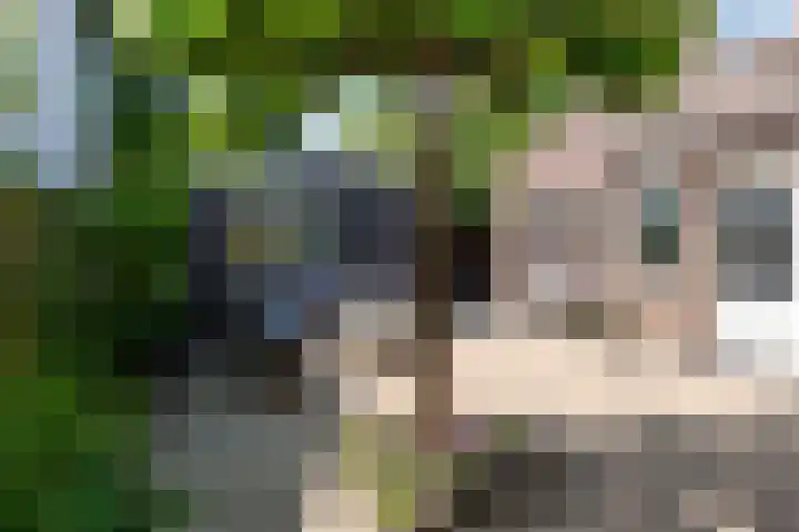 Lindenlaan 105 Castricum thumbnail 47