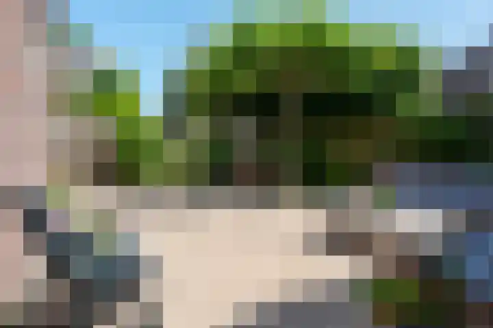 Lindenlaan 105 Castricum thumbnail 48