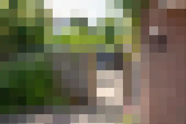 Lindenlaan 105 Castricum thumbnail 53