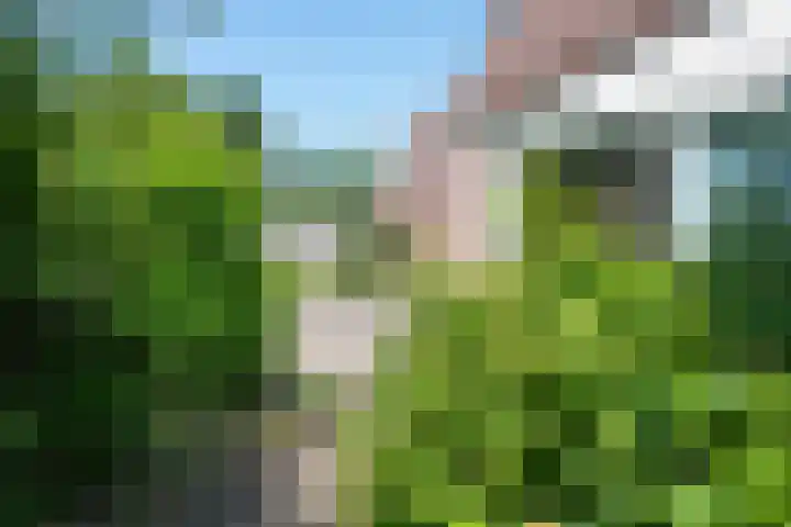Lindenlaan 105 Castricum thumbnail 54